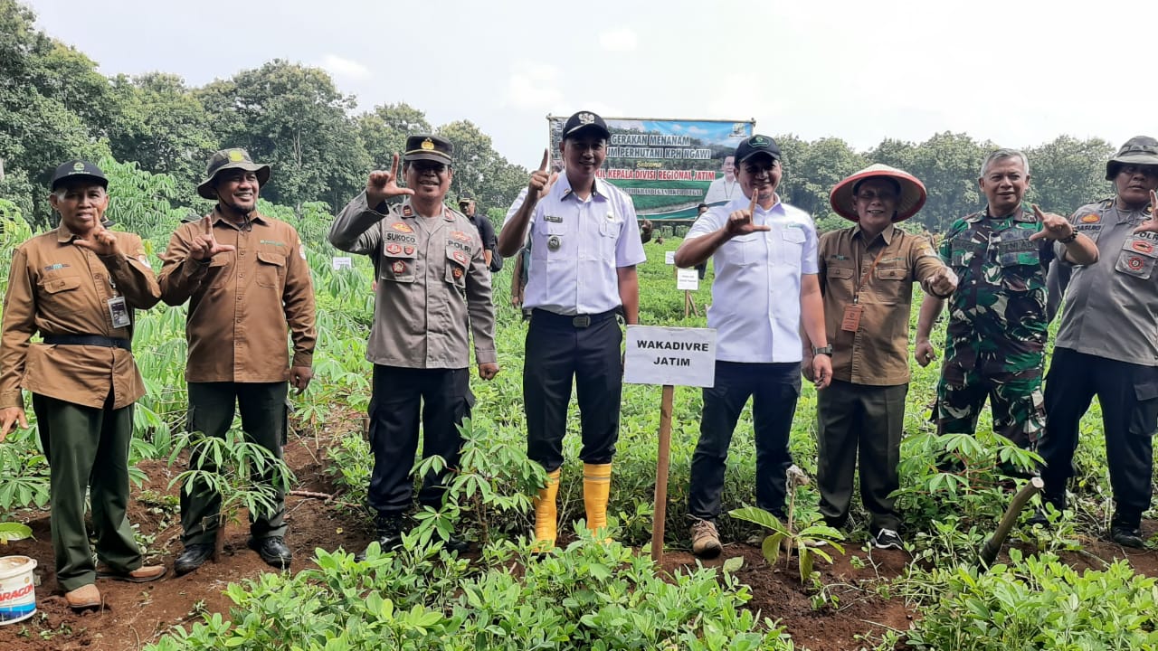 Gerakan Penanaman Seribu Pohon dengan Perum Perhutani bersama Wakil Difisi Regional Jatim. Camat dan Forpicam Kecamatan Ngrambe.